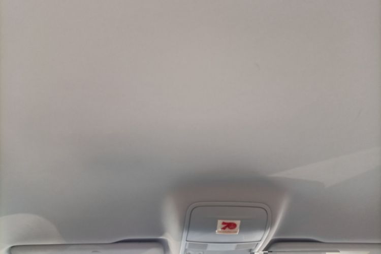 Used Skoda Octavia 2017 1.6L Automatic Chuanxing Edition Headliner