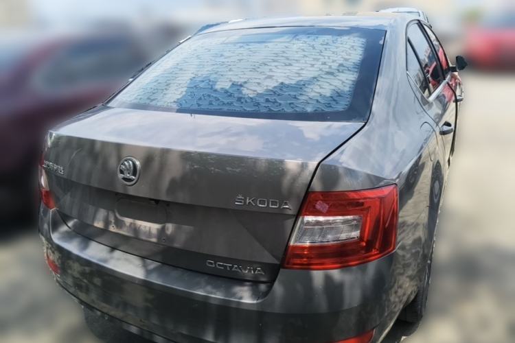 Used Skoda Octavia 2017 1.6L Automatic Chuanxing Edition Rear