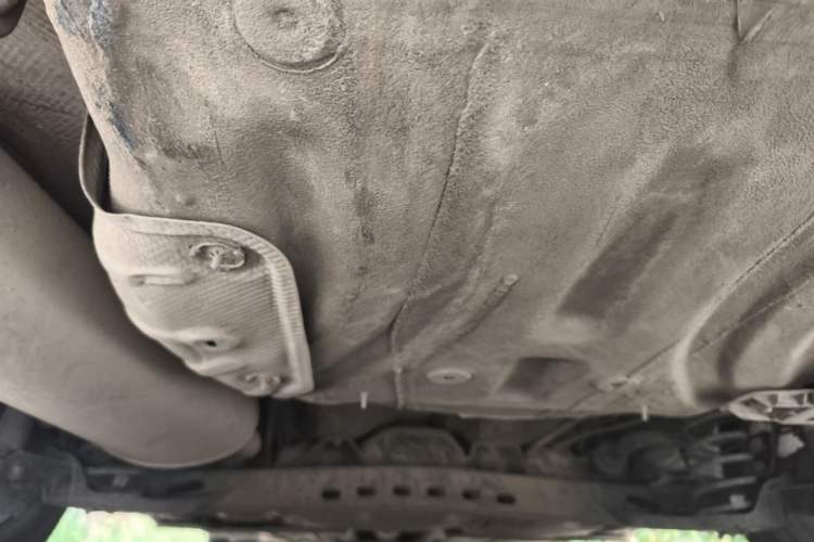 Used Skoda Octavia 2017 1.6L Automatic Front-Wheel Drive Model Chassis Rear