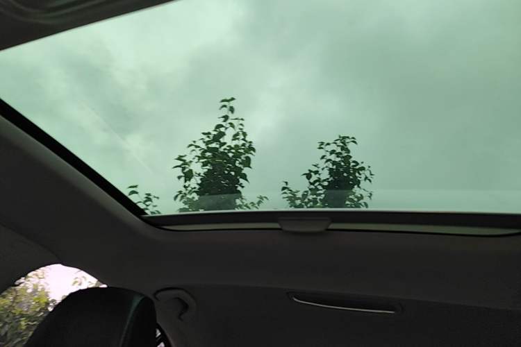 Used Skoda Octavia 2017 1.6L Automatic Smart Drive Edition Headliner