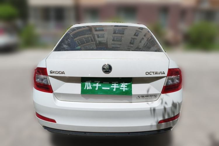 Used Skoda Octavia 2017 1.6L Automatic Chuanxing Edition Rear