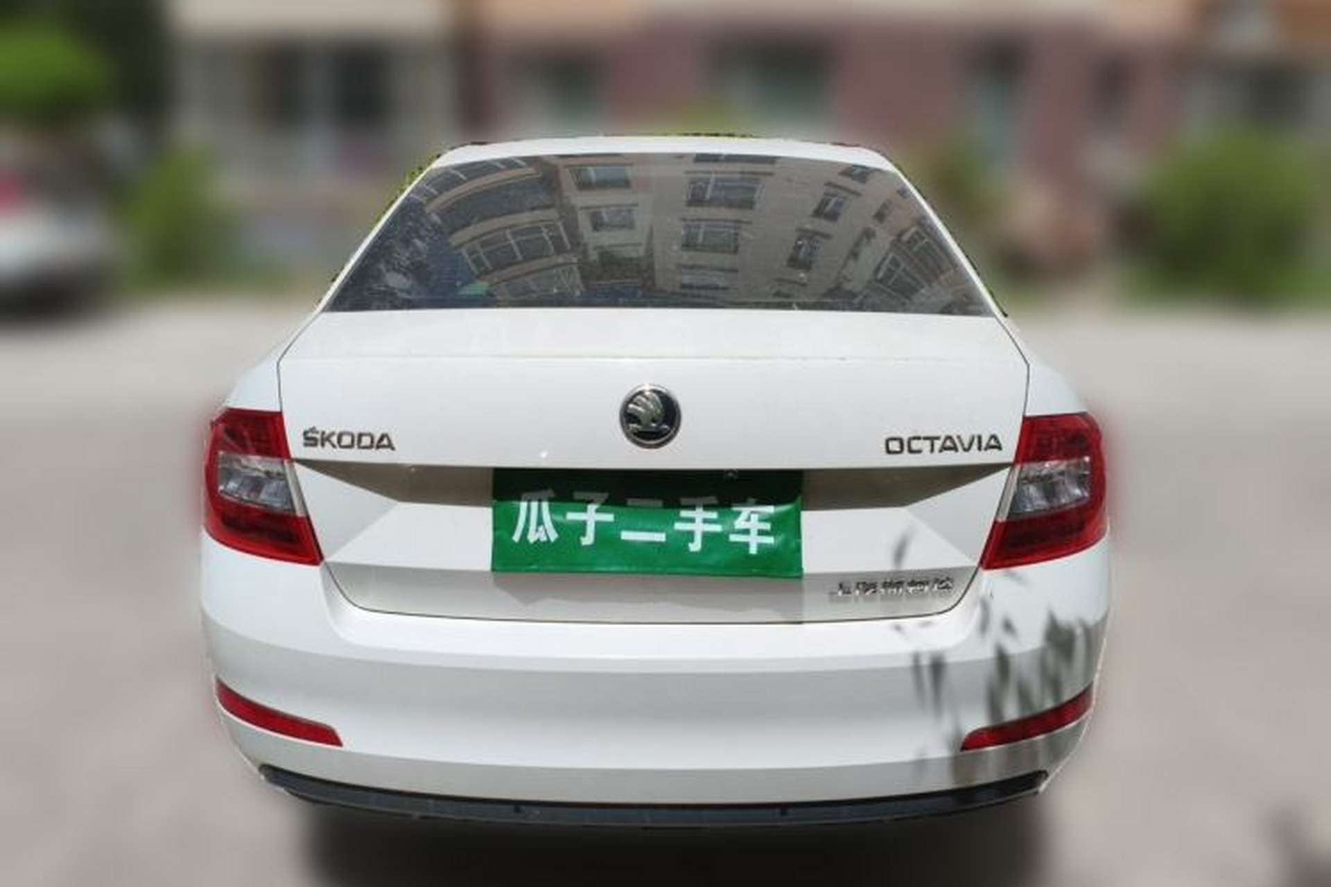 Used Skoda Octavia 2017 1.6L Automatic Chuanxing Edition Rear
