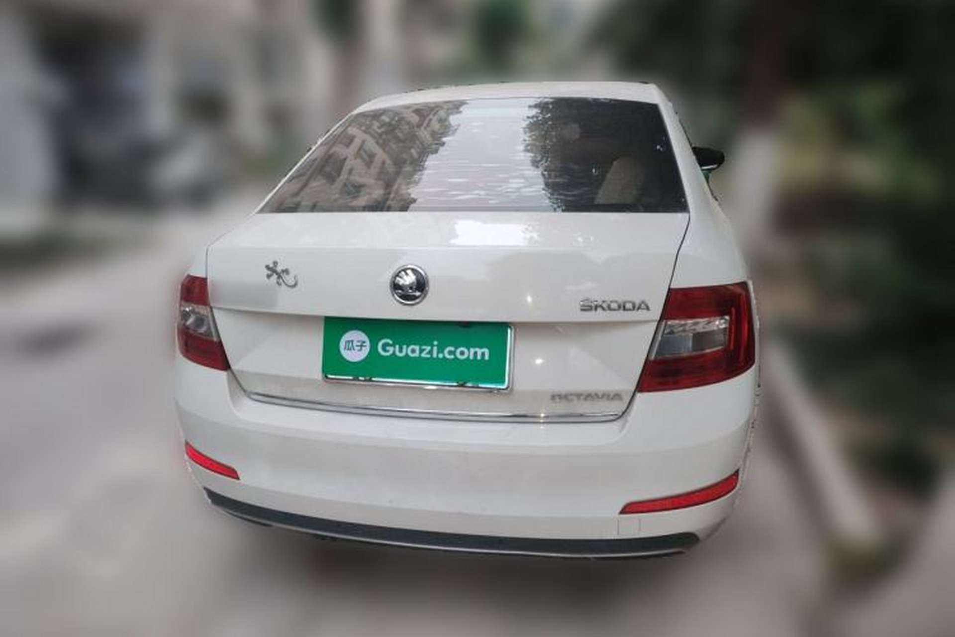 Used Skoda Octavia 2017 1.6L Automatic Smart Drive Edition Rear