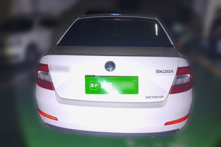 Used Skoda Octavia 2017 1.6L Automatic Chuanxing Edition Rear