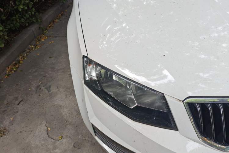 Used Skoda Octavia 2017 1.6L Manual Trend Edition Right Front Headlight
