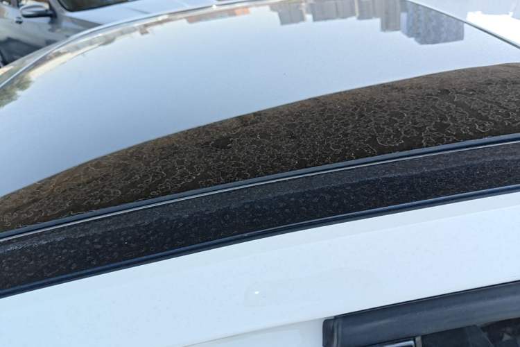 Used Skoda Octavia 2017 1.6L Automatic Smart Drive Edition Roof