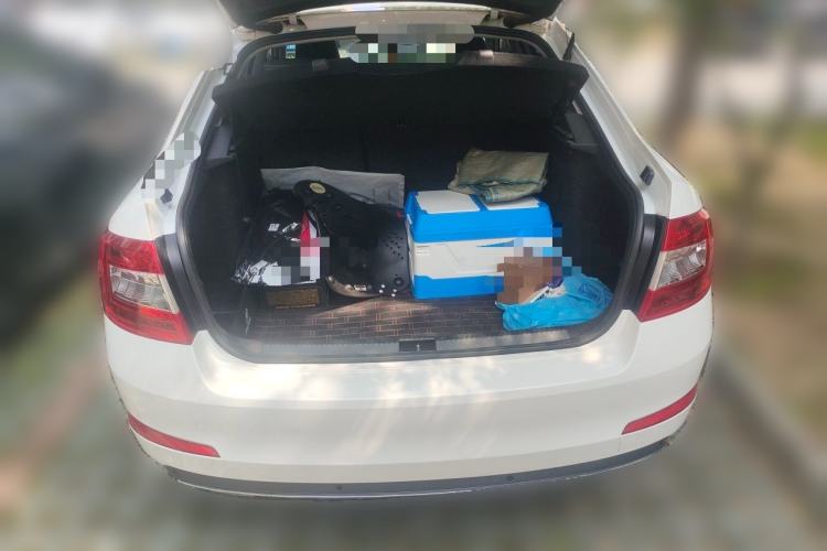 Used Skoda Octavia 2017 TSI280 DSG Smart Drive Edition Trunk