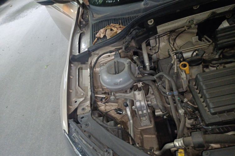 Used Skoda Octavia 2018 TSI230 DSG Luxury Edition Engine Bay Right