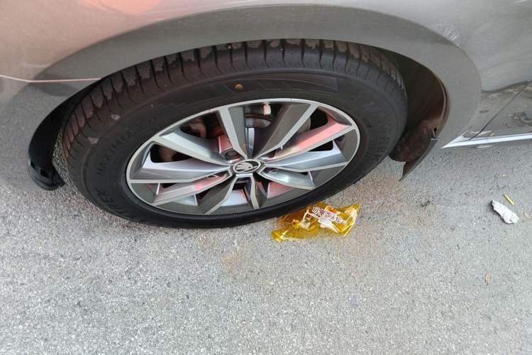 Used Skoda Octavia 2018 TSI230 DSG Comfort Edition Exterior 7