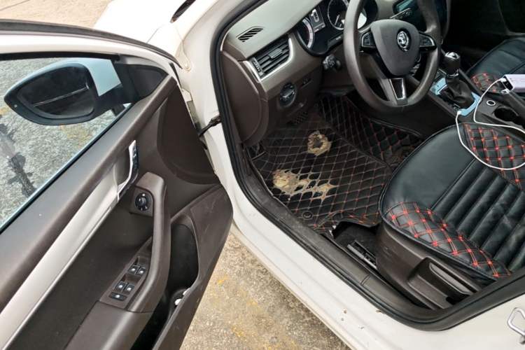 Used Skoda Octavia 2018 TSI230 DSG Luxury Edition Driver Seat