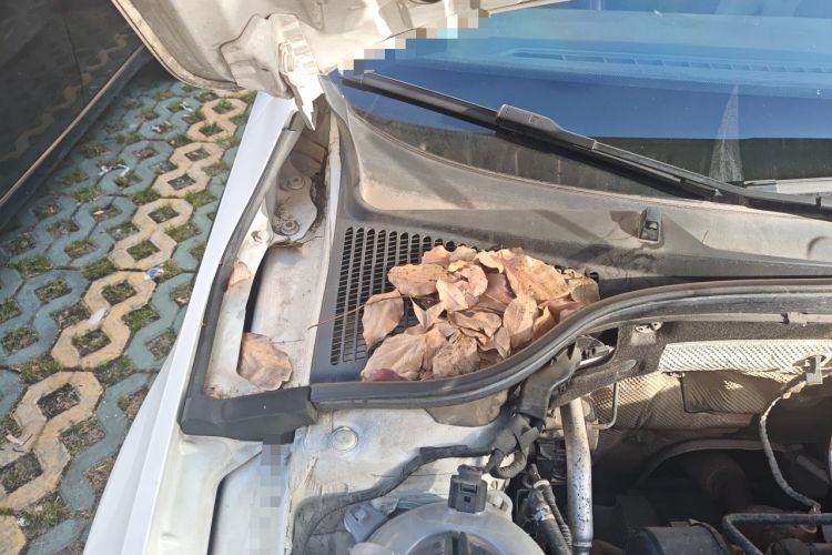 Used Skoda Octavia 2018 1.6L Automatic Comfort Edition Engine Bay Right