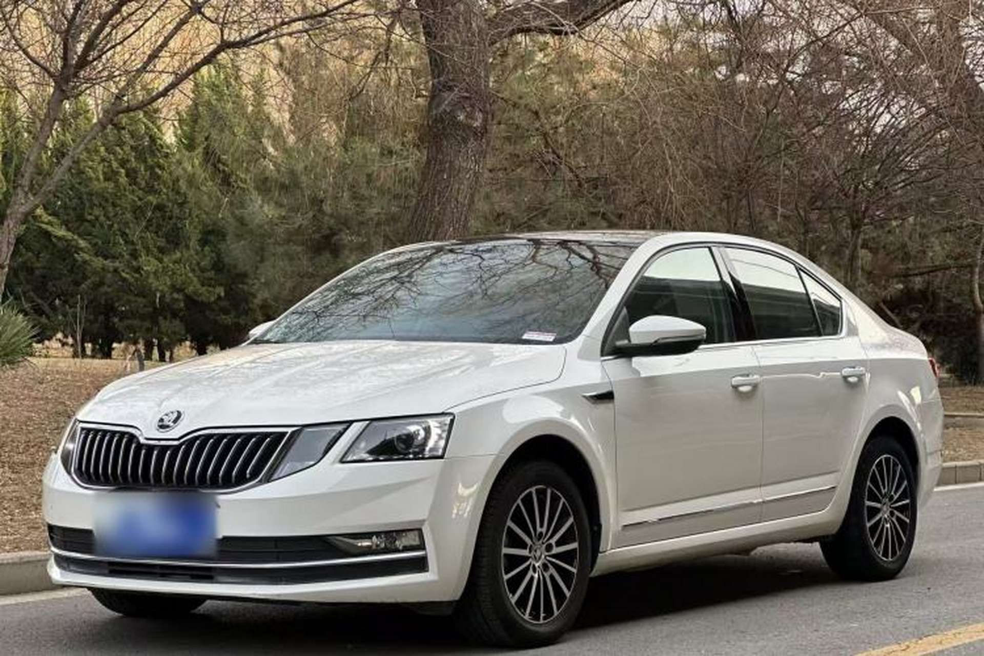 Used Skoda Octavia 2018 TSI230 DSG Luxury Edition Front Left 45 Deg