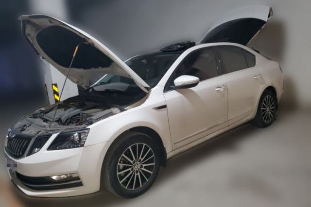 Used Skoda Octavia 2018 TSI230 DSG Luxury Edition