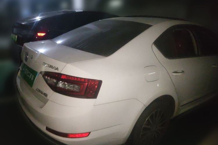 Used Skoda Octavia 2018 TSI230 DSG Luxury Edition Rear Right 45 Deg