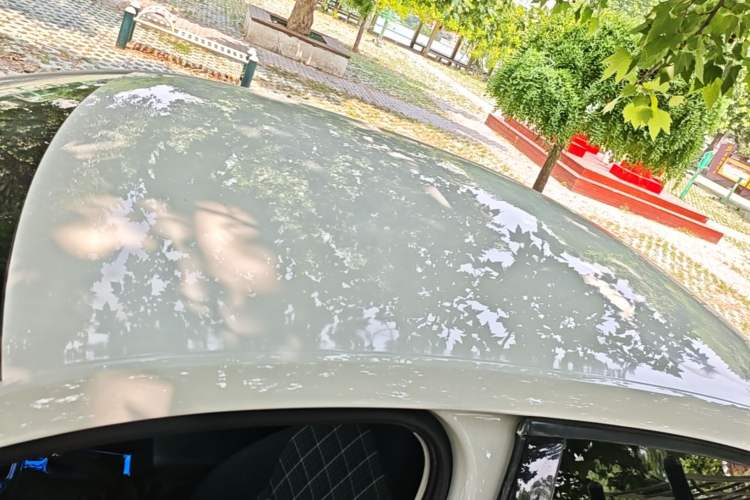 Used Skoda Octavia 2018 1.6L Automatic Comfort Edition Roof