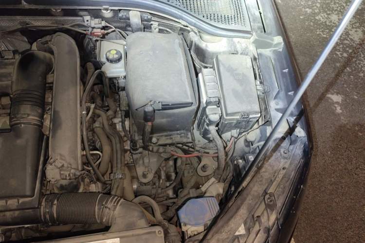 Used Skoda Octavia 2019 TSI230 DSG Luxury Edition Engine Bay Left