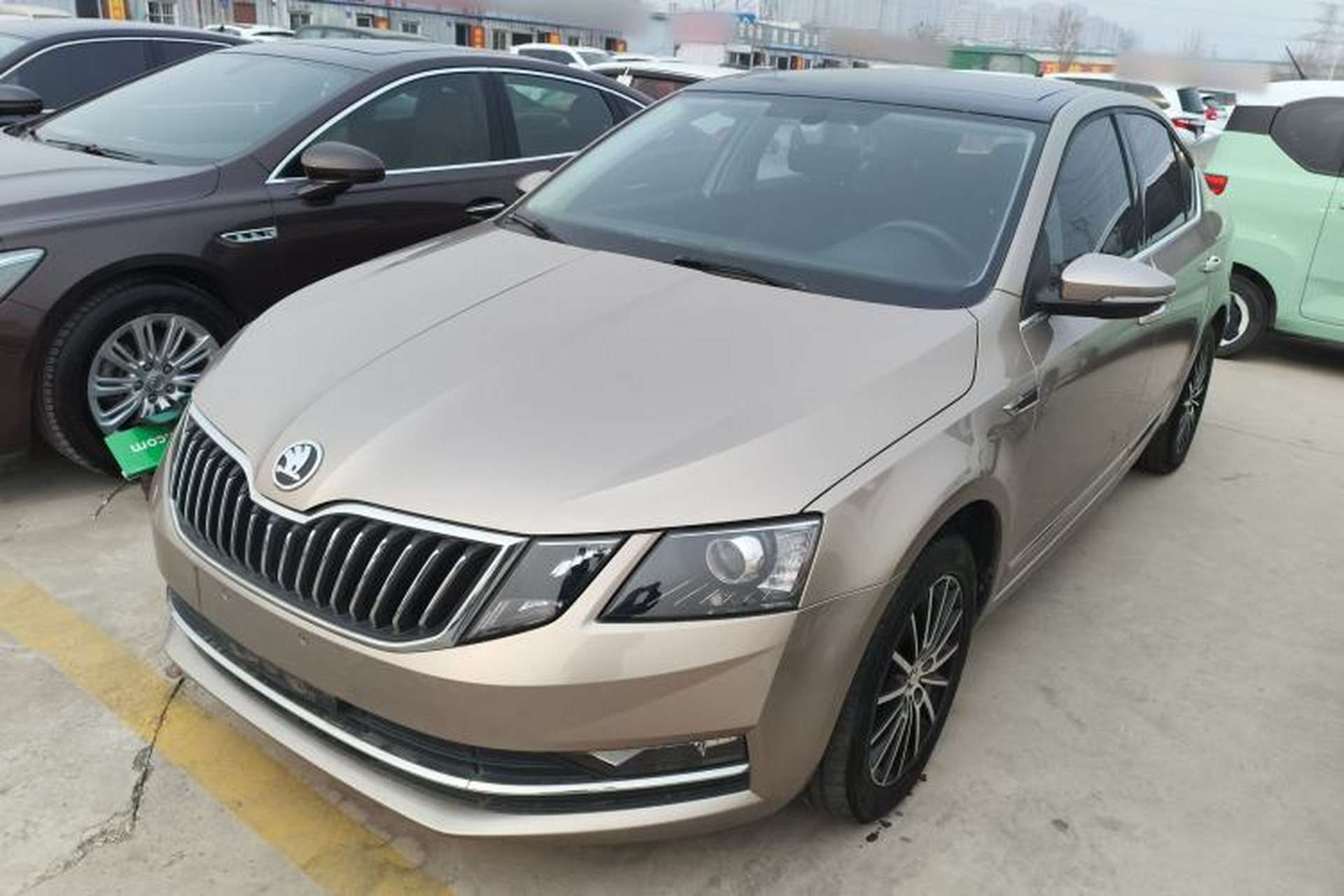 Used Skoda Octavia 2019 TSI230 DSG Luxury Edition Front Left 45 Deg