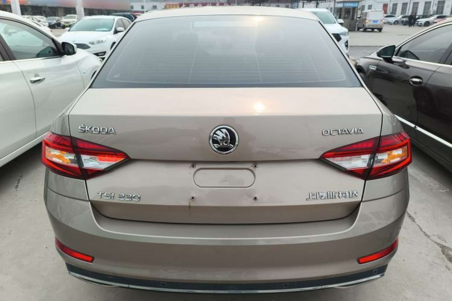 Used Skoda Octavia 2019 TSI230 DSG Luxury Edition Rear