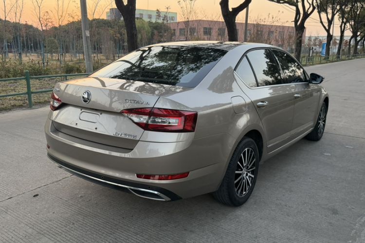 Used Skoda Octavia 2019 1.5L Automatic Luxury Edition Exterior 6