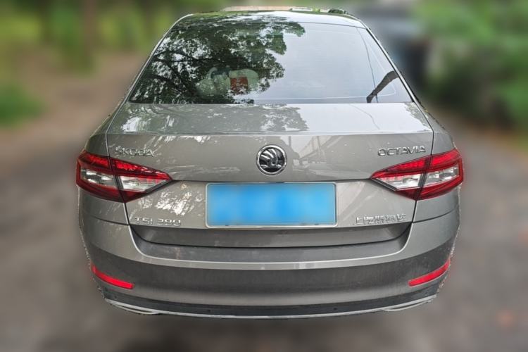 Used Skoda Octavia 2019 TSI280 DSG Luxury Edition Rear