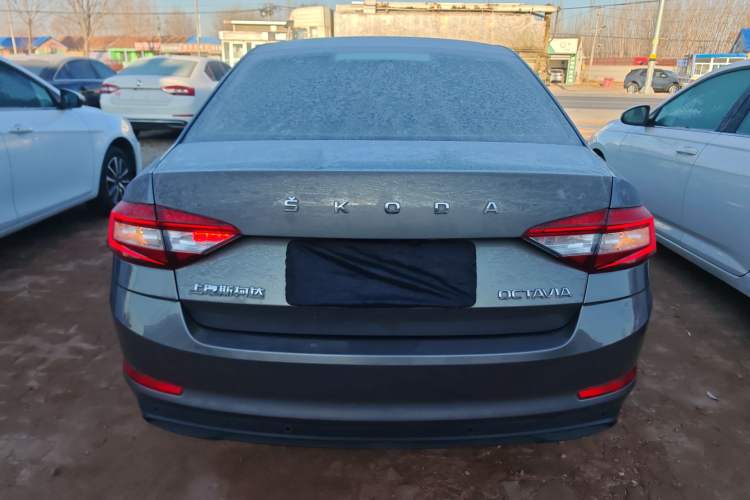 Used Skoda Octavia 2019 1.5L Automatic SmartDrive Comfort Edition China VI Standard Rear