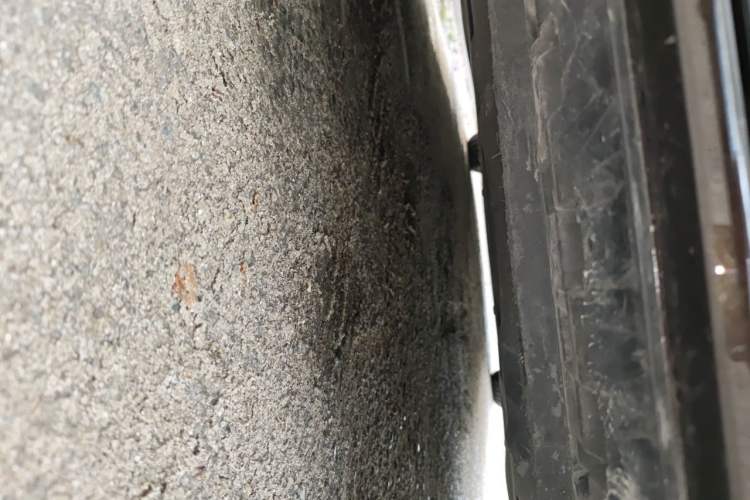 Used Skoda Octavia 2019 TSI230 DSG Comfort Edition Chassis Front
