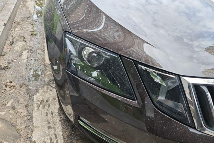 Used Skoda Octavia 2019 TSI230 DSG Comfort Edition Right Front Headlight