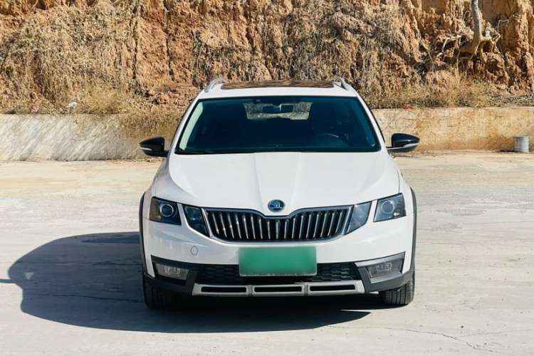Used Skoda Octavia 2019 TSI230 DSG Luxury Edition Station Wagon China V Standard Exterior 1