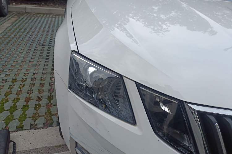 Used Skoda Octavia 2019 TSI230 DSG Comfort Edition Exterior 6
