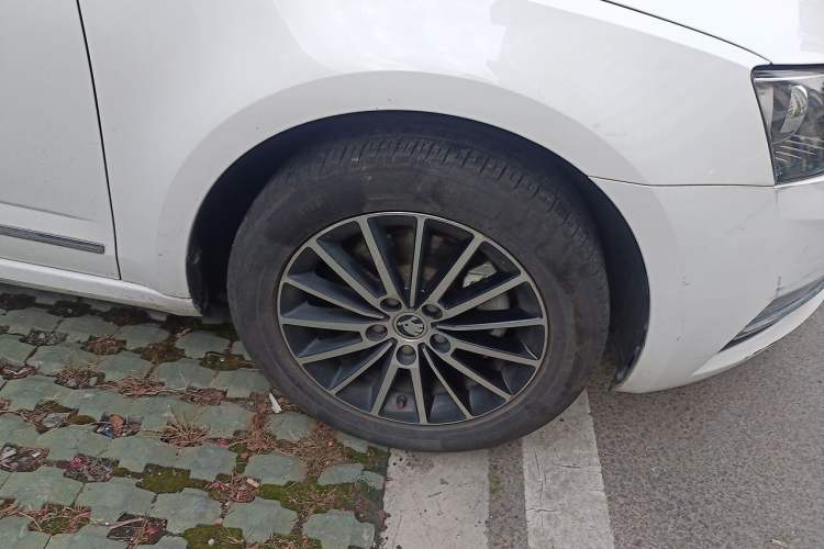 Used Skoda Octavia 2019 TSI230 DSG Comfort Edition Exterior 7
