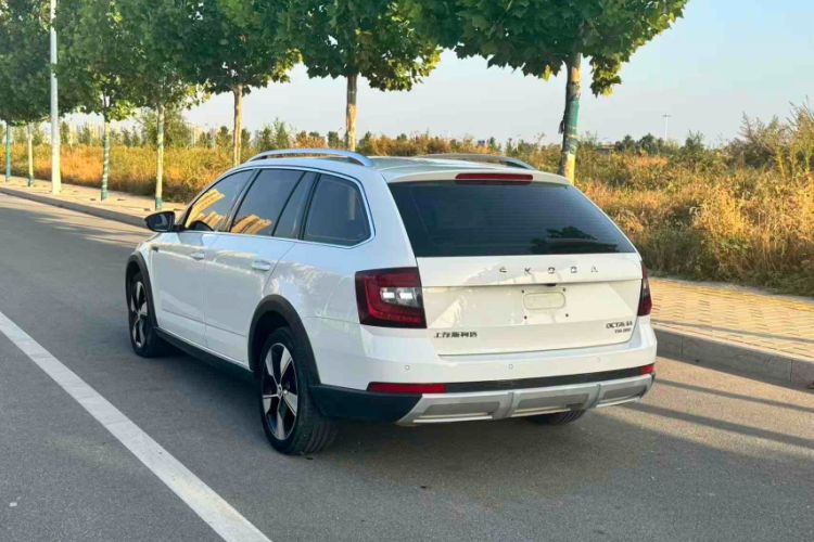 Used Skoda Octavia 2019 TSI280 DSG Luxury Edition Station Wagon China VI Standard Exterior 9