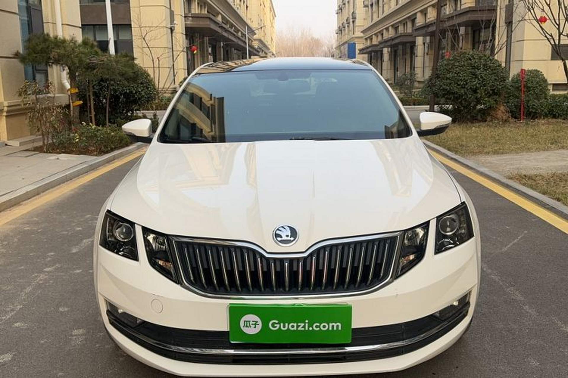 Used Skoda Octavia 2019 TSI230 DSG Luxury Edition Front