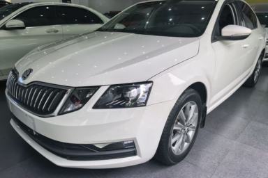 Used Skoda Octavia 2019 TSI230 DSG Smart & Comfort Edition China VI Standard