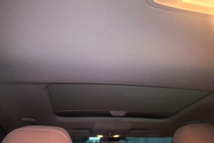 Used Skoda Octavia 2019 1.5L Automatic Luxury Edition Headliner