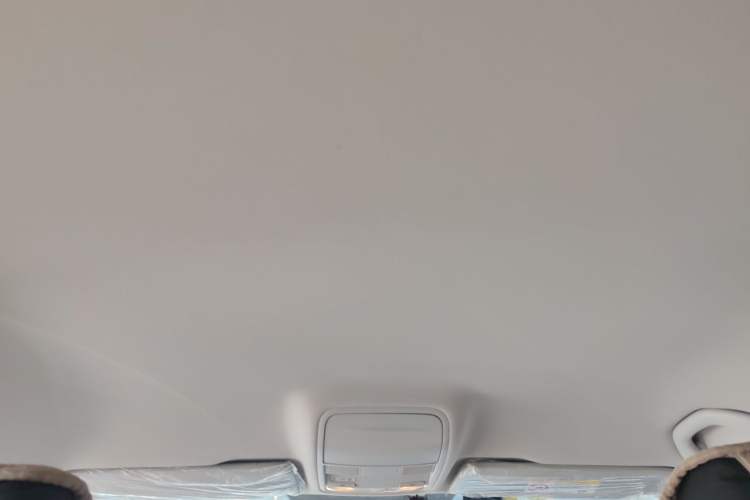 Used Skoda Octavia 2019 1.5L Automatic Comfort Edition Headliner