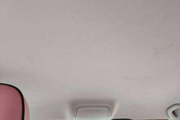 Used Skoda Octavia 2019 1.5L Manual Standard Edition China V Headliner