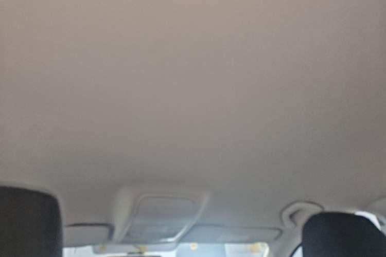 Used Skoda Octavia 2019 1.5L Automatic Comfort Edition Headliner