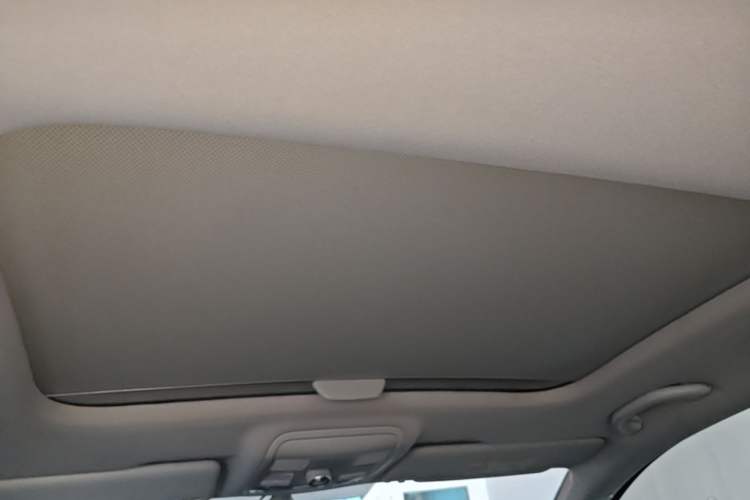 Used Skoda Octavia 2019 TSI280 DSG Luxury Edition Headliner