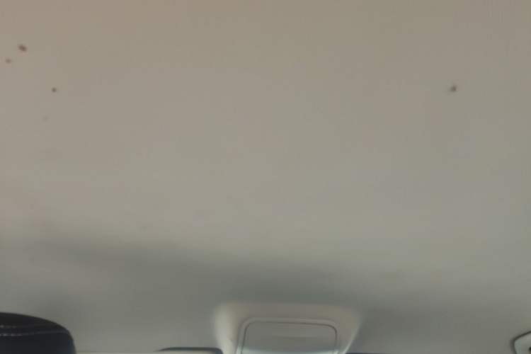 Used Skoda Octavia 2019 1.5L Automatic SmartDrive Comfort Edition China VI Standard Headliner
