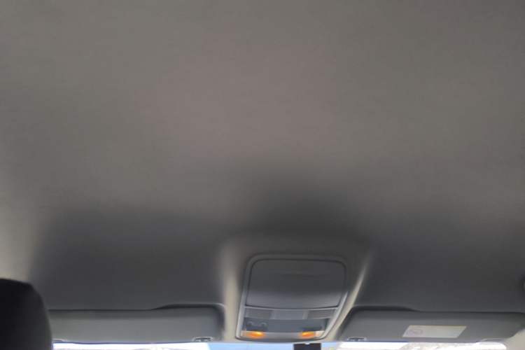 Used Skoda Octavia 2019 1.5L Automatic Comfort Edition Headliner