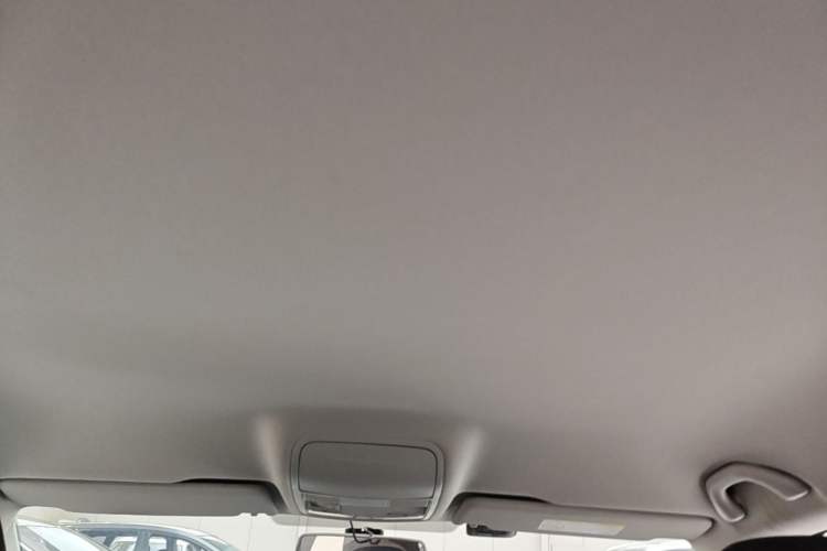 Used Skoda Octavia 2019 TSI230 DSG Smart & Comfort Edition China VI Standard Headliner