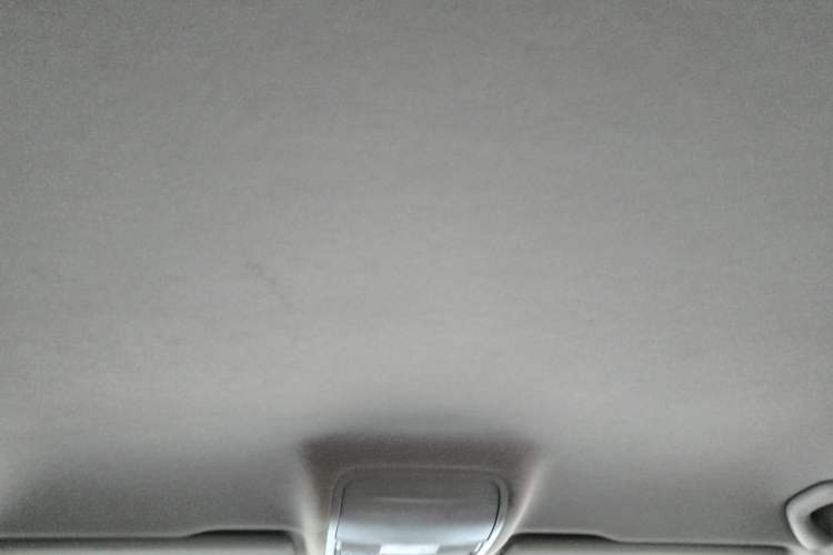 Used Skoda Octavia 2019 1.5L Automatic Comfort Edition Headliner