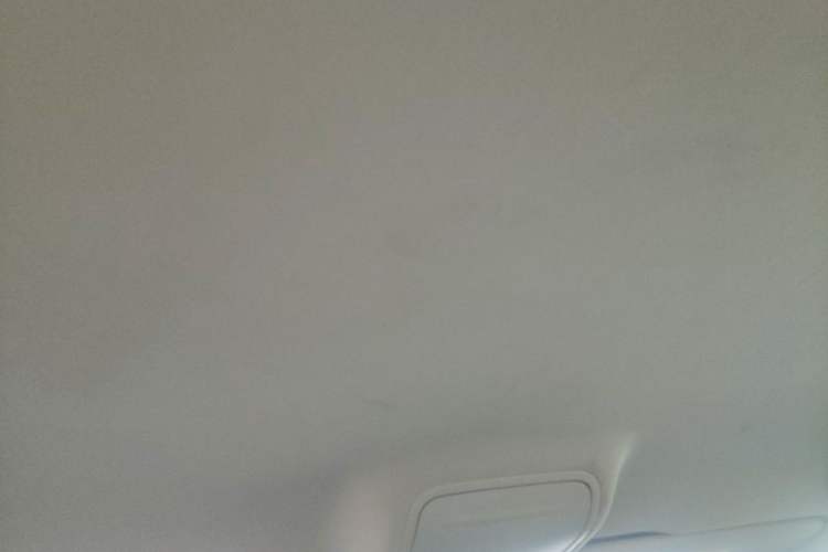 Used Skoda Octavia 2019 TSI230 DSG SmartDrive Comfort Edition China V Standard Headliner