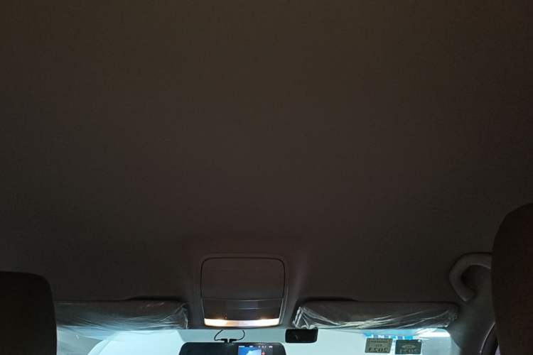 Used Skoda Octavia 2019 1.5L Automatic Comfort Edition Headliner