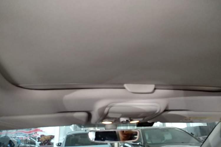 Used Skoda Octavia 2019 TSI230 DSG Luxury Edition Headliner