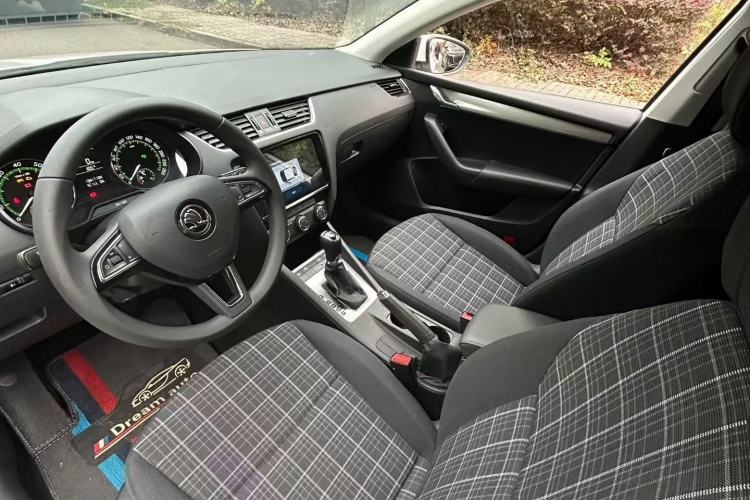 Used Skoda Octavia 2019 TSI230 DSG Smart & Comfort Edition China VI Standard Interior 1
