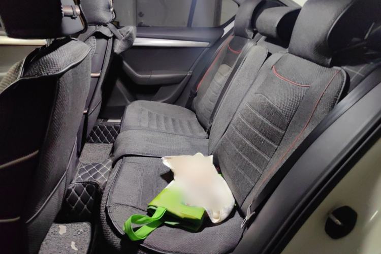 Used Skoda Octavia 2019 TSI230 DSG Smart & Comfort Edition China VI Standard Interior 4