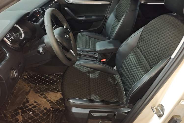 Used Skoda Octavia 2019 TSI230 DSG SmartDrive Luxury Edition China VI Left Front Seat