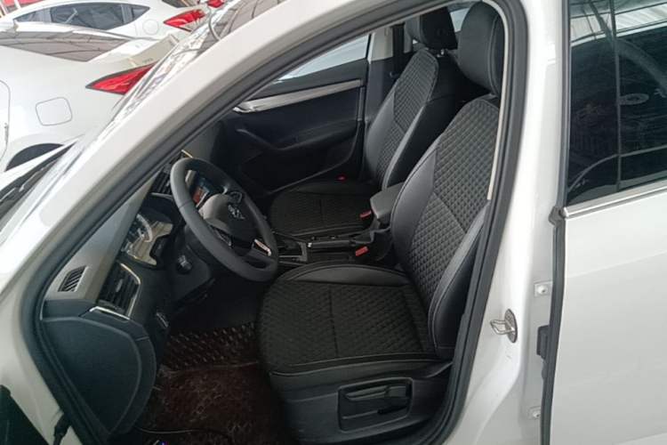 Used Skoda Octavia 2019 TSI230 DSG SmartDrive Luxury Edition China V Standard Left Front Seat
