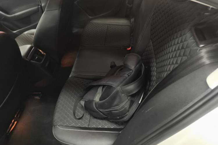 Used Skoda Octavia 2019 TSI280 DSG SmartDrive Luxury Edition China VI Left Rear Seat